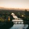 aerial view of a river with a city surrounding it