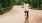 a man riding a bicycle on a path surrounded by trees